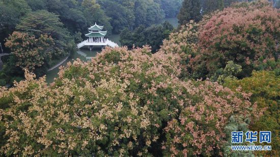 （環(huán)境）（6）合肥：環(huán)城公園秋色美