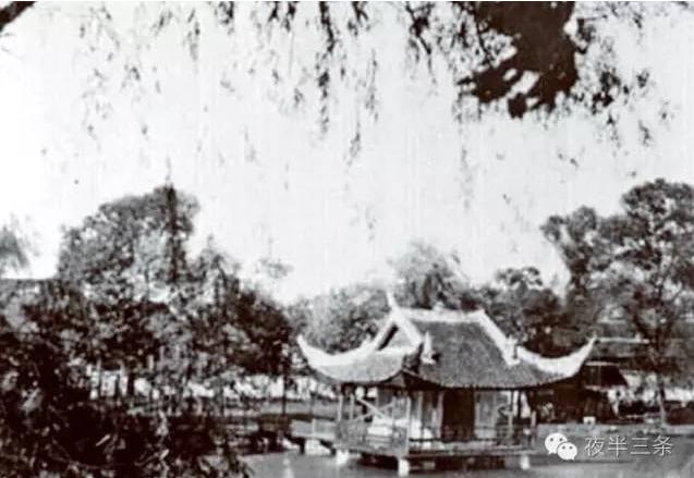 “紀(jì)念建黨95周年”：救國(guó)運(yùn)動(dòng)從夢(mèng)草公園開(kāi)始