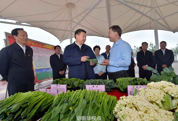 習(xí)近平：緬懷先烈、不忘初心，走好新的長征路