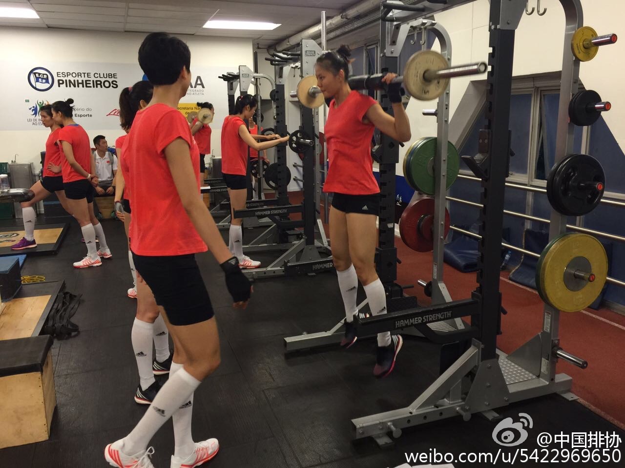 女排順利飛抵里約 圣保羅訓(xùn)練營賽前忙備戰(zhàn)