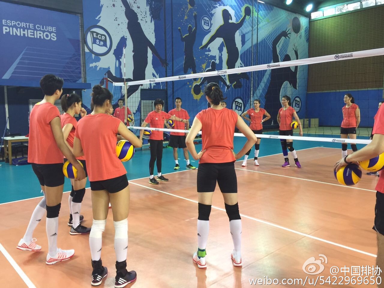 女排順利飛抵里約 圣保羅訓(xùn)練營賽前忙備戰(zhàn)