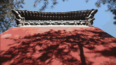 獨(dú)家視頻|這五年：英國(guó)小妹從北京到雄安，發(fā)現(xiàn)果然1+1+1>3！