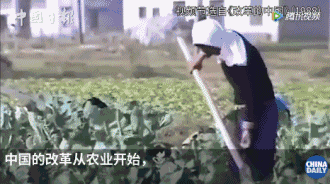 從斯坦福高材生到中美關(guān)系專家，他見證中國巨變，感觸最深的是……丨40年40人