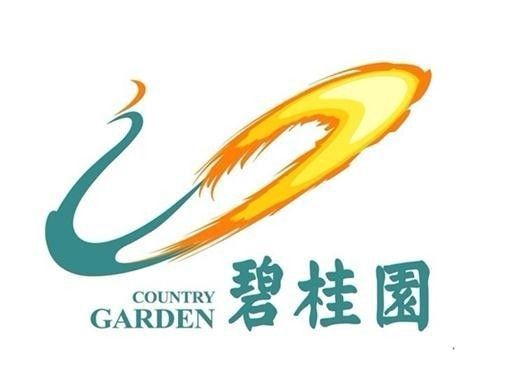 【華表獎(jiǎng)名人寄語】碧桂園黨委副書記張勇平
