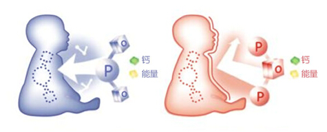 成功萃取全脂牛奶中親和乳脂營(yíng)養(yǎng)，對(duì)嬰兒到底影響有多大？