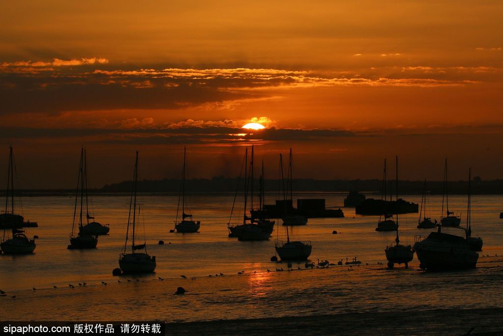 英國(guó)泰晤士河日出美景 迎來(lái)九月第一縷曙光