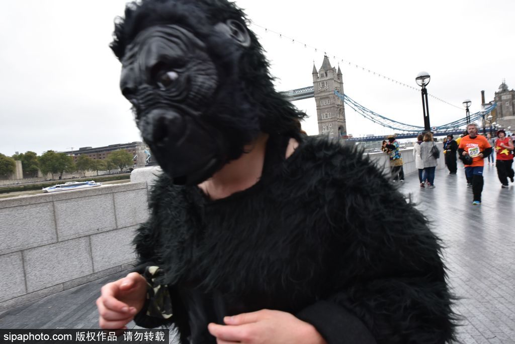 英國(guó)舉辦“大猩猩”慈善跑 人扮猩猩獻(xiàn)愛(ài)心募款