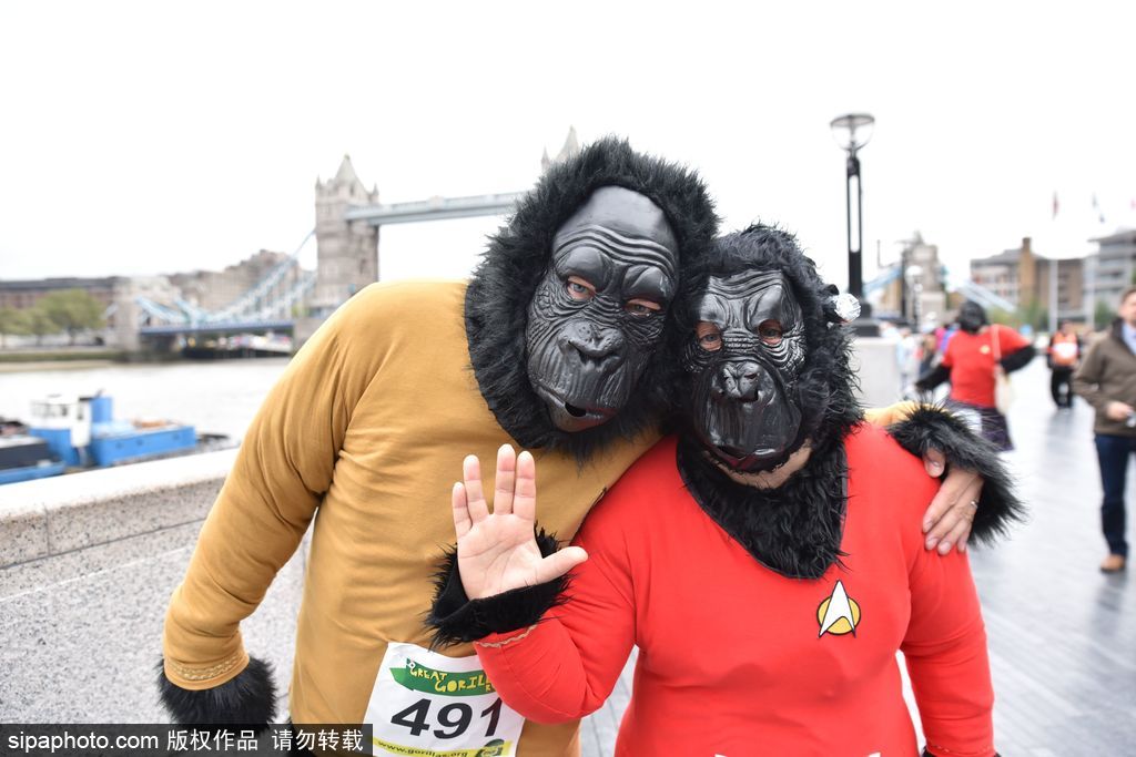 英國舉辦“大猩猩”慈善跑 人扮猩猩獻(xiàn)愛心募款