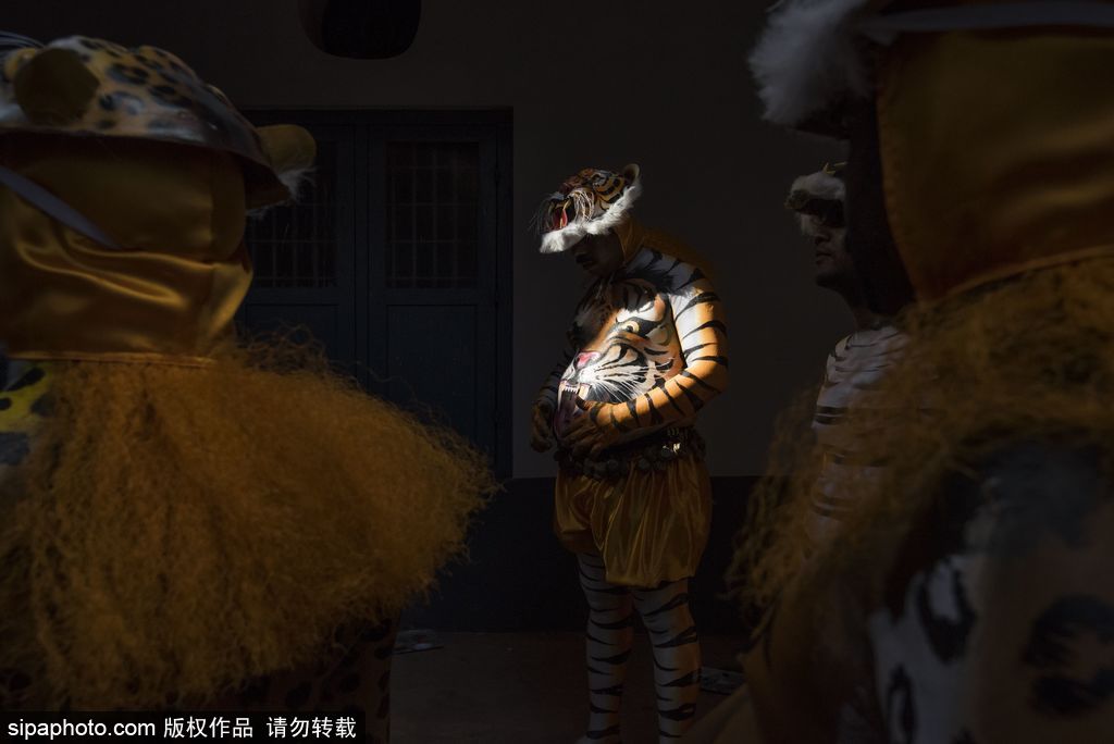 印度傳統(tǒng)虎舞的臺前幕后 表演者用顏料涂滿全身化身“猛虎”