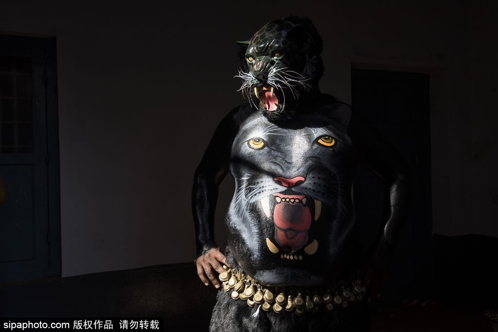 印度傳統(tǒng)虎舞的臺前幕后 表演者用顏料涂滿全身化身“猛虎”