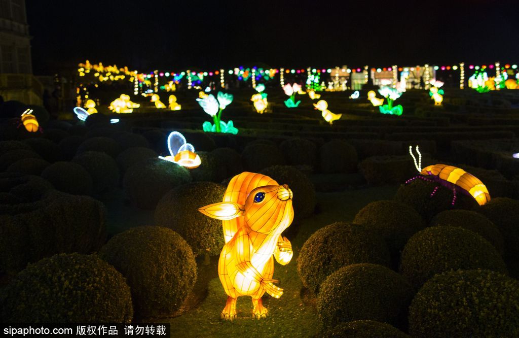 英國超大規(guī)模中國巨型燈籠會(huì) 豐富動(dòng)物造型燈飾亮相