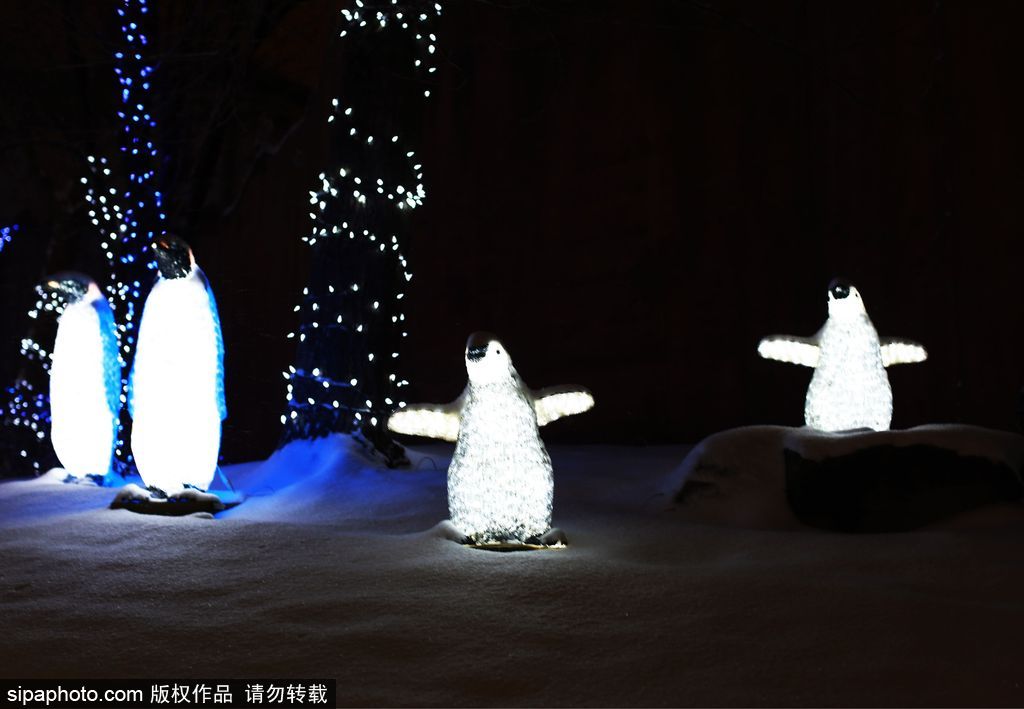 加拿大：卡爾加里公園亮起上萬(wàn)彩燈迎接圣誕節(jié) 造型各異趣味十足