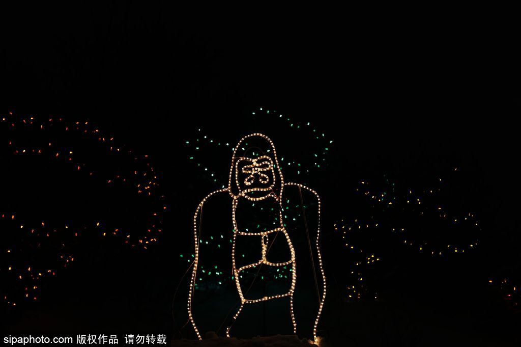 加拿大：卡爾加里公園亮起上萬(wàn)彩燈迎接圣誕節(jié) 造型各異趣味十足