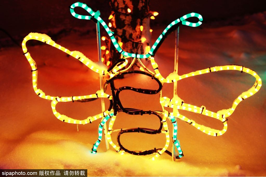 加拿大：卡爾加里公園亮起上萬彩燈迎接圣誕節(jié) 造型各異趣味十足