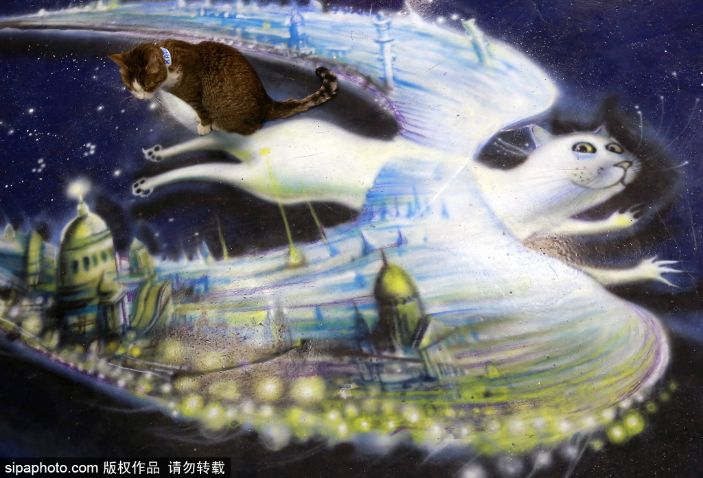 探訪歐洲最大的貓咖啡館——俄羅斯圣彼得堡貓咪共和國(guó)咖啡廳