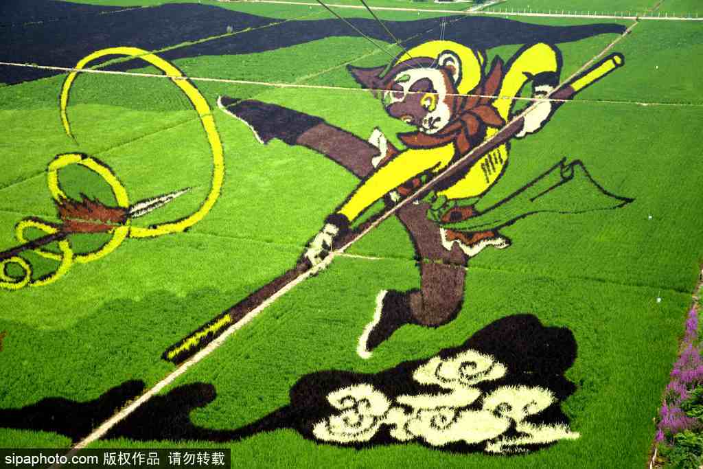 春回大地草木萌動(dòng) 盤點(diǎn)那些農(nóng)田光景返樸歸真