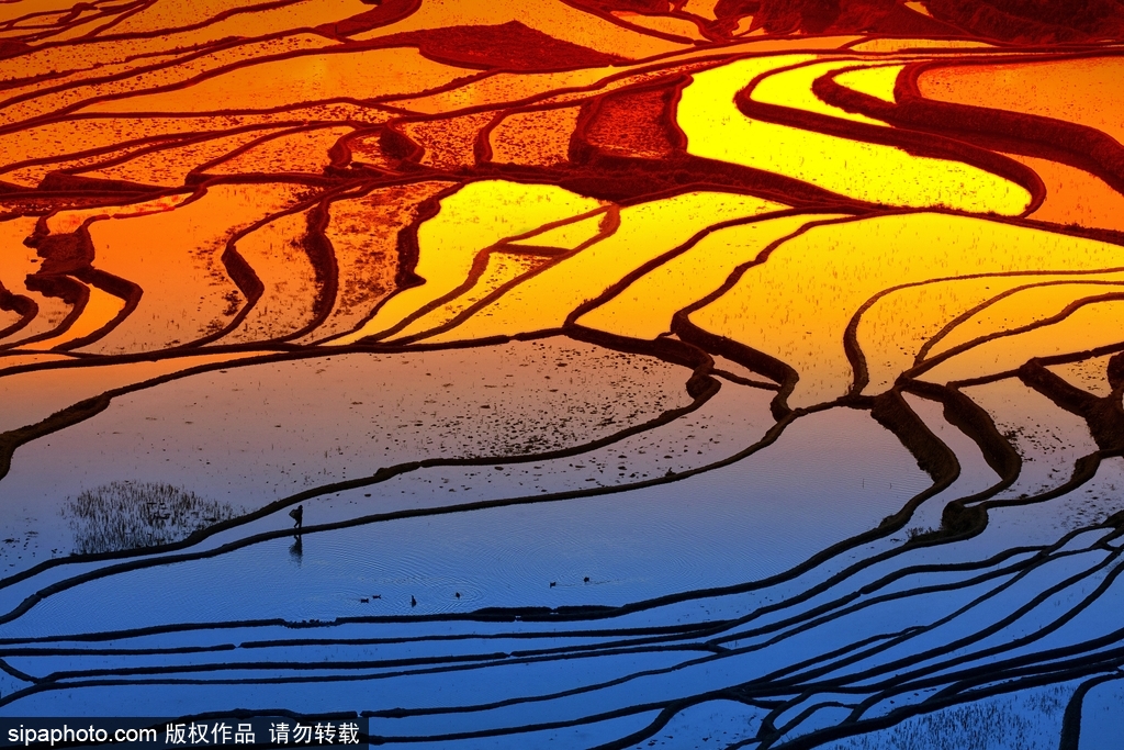 春回大地草木萌動 盤點那些農(nóng)田光景返樸歸真
