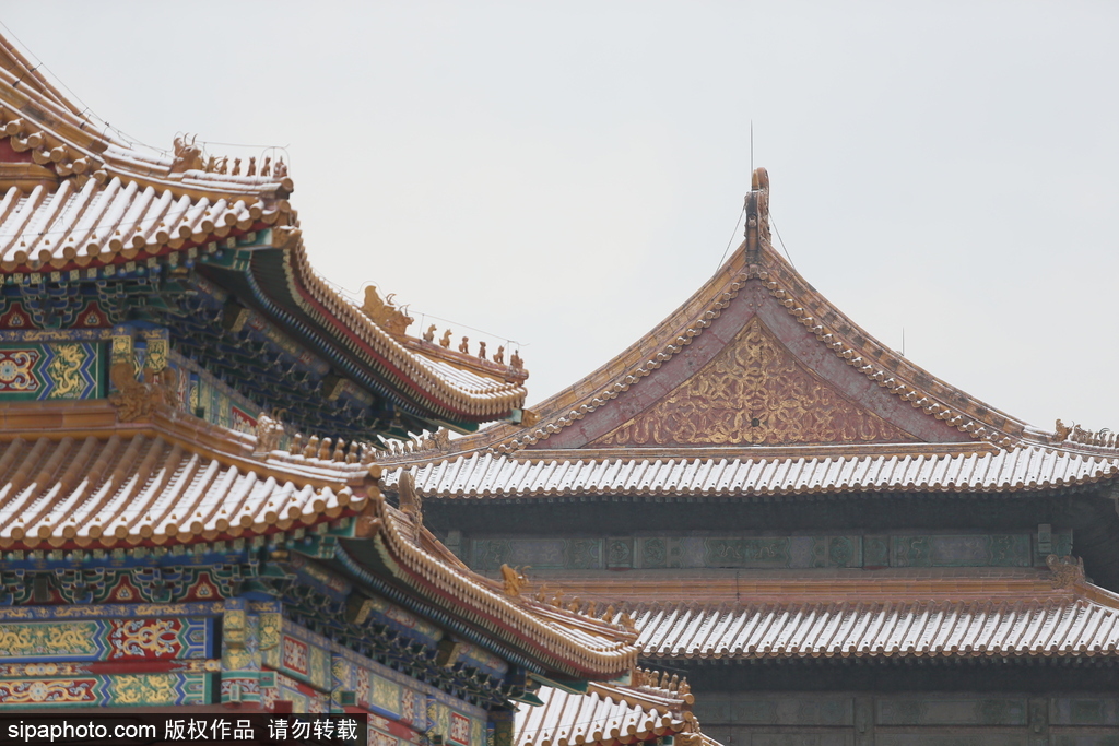 北京“鵝毛大雪”如約而至 故宮雪景美如畫