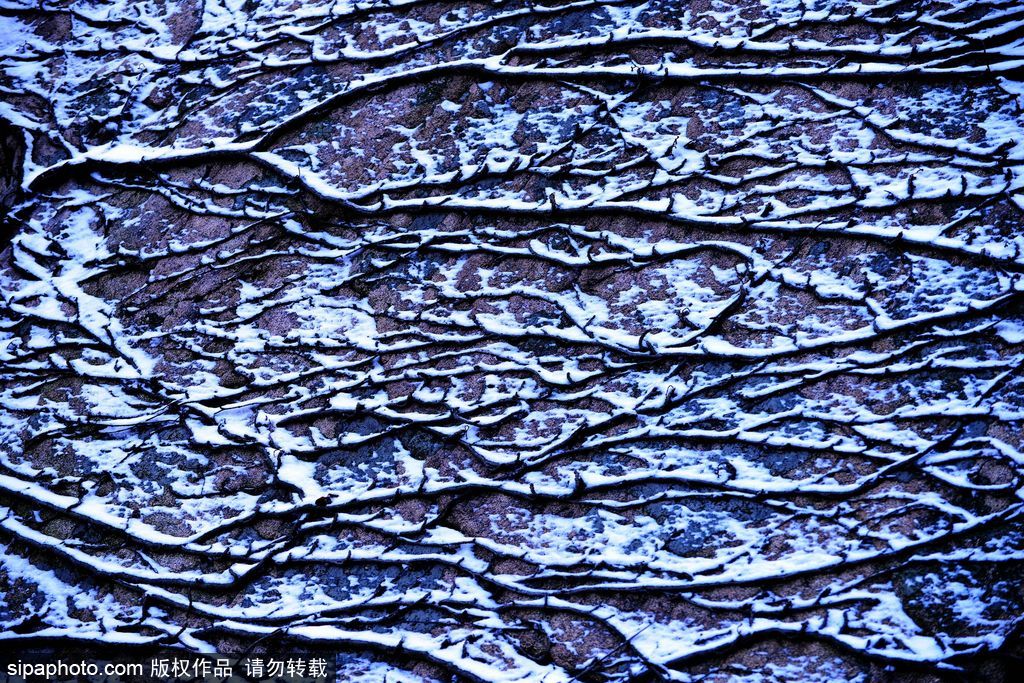 這個(gè)冬季太漫長？ 盤點(diǎn)霧凇冰掛美景讓你忘記季節(jié)時(shí)間