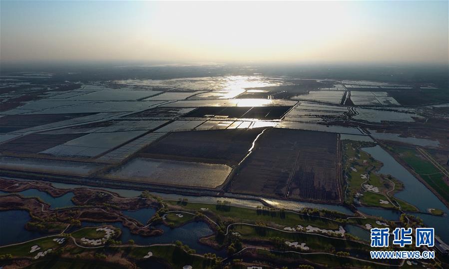 中共中央、國務(wù)院決定設(shè)立河北雄安新區(qū)