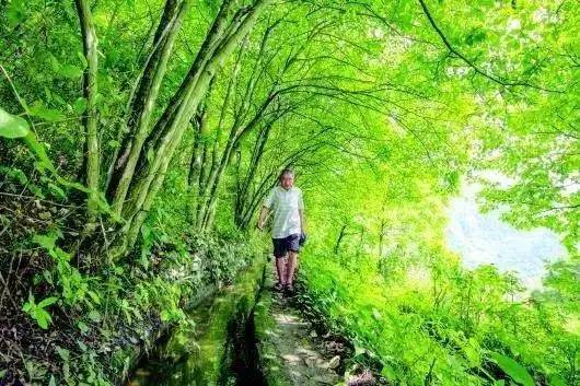 解碼中國丨這位當(dāng)代“愚公”在懸崖峭壁上鑿出7千米水渠，現(xiàn)實比神話傳說更震撼！