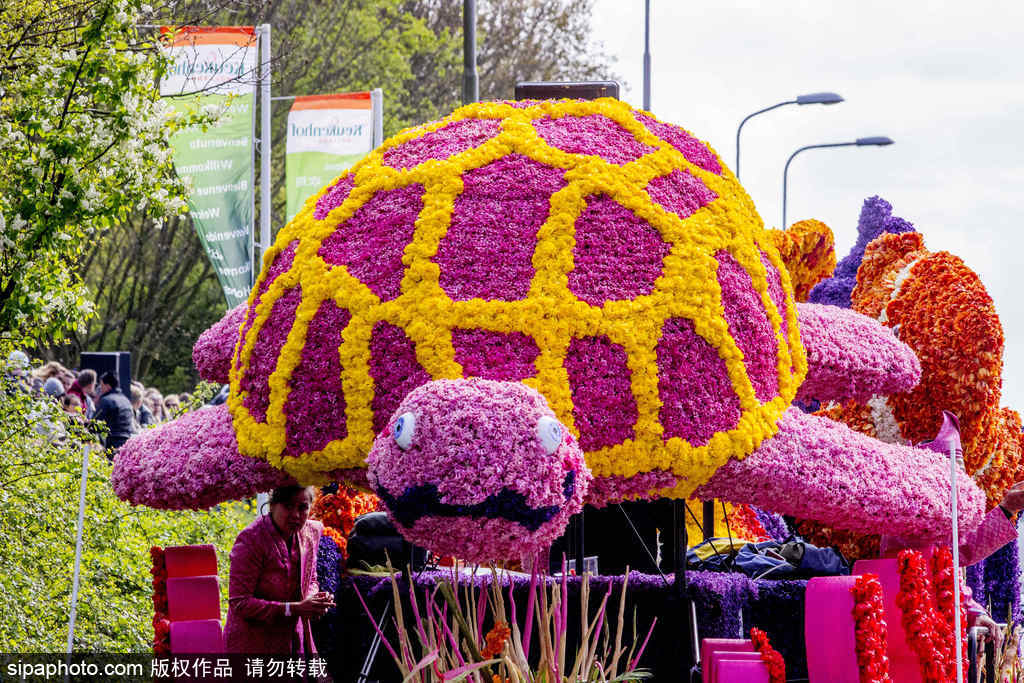 荷蘭小鎮(zhèn)利瑟迎來(lái)花車游行活動(dòng) 鮮艷亮麗十分奪目