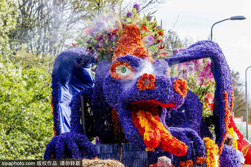 荷蘭小鎮(zhèn)利瑟迎來(lái)花車游行活動(dòng) 鮮艷亮麗十分奪目