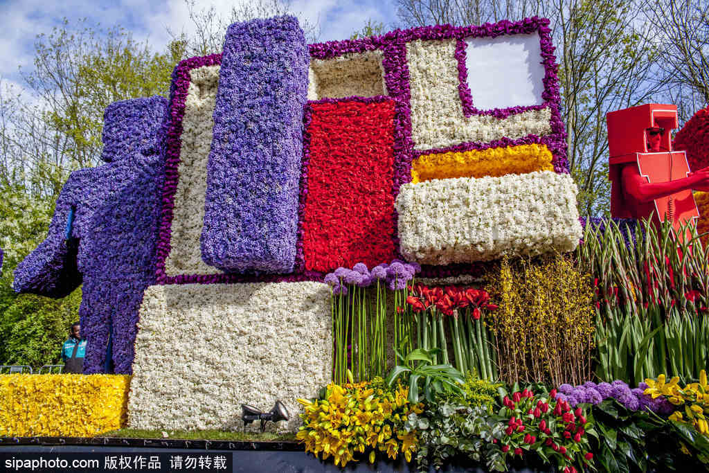 荷蘭小鎮(zhèn)利瑟迎來(lái)花車(chē)游行活動(dòng) 鮮艷亮麗十分奪目