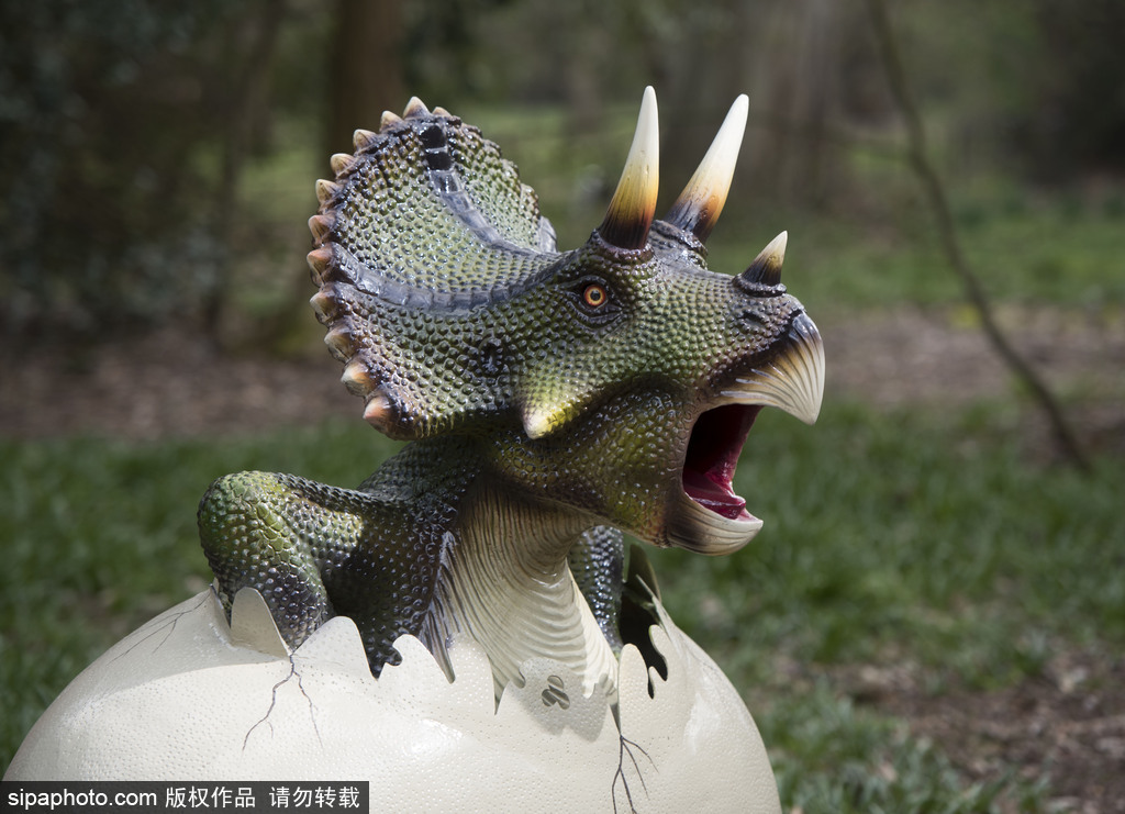 再現(xiàn)侏羅紀(jì)王國(guó) 倫敦奧斯特利公園舉辦互動(dòng)恐龍模型展