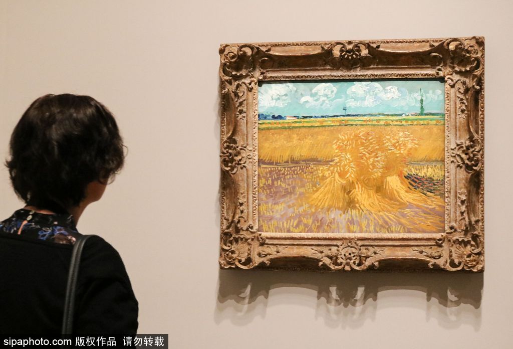 全球獨家！世界上首個梵高個人作品展在墨爾本舉辦