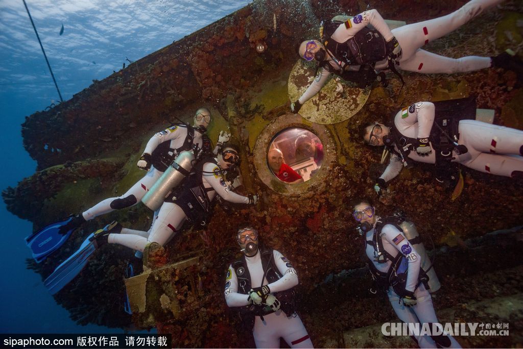 拼的就是創(chuàng)意 盤(pán)點(diǎn)水下世界趣聞不斷