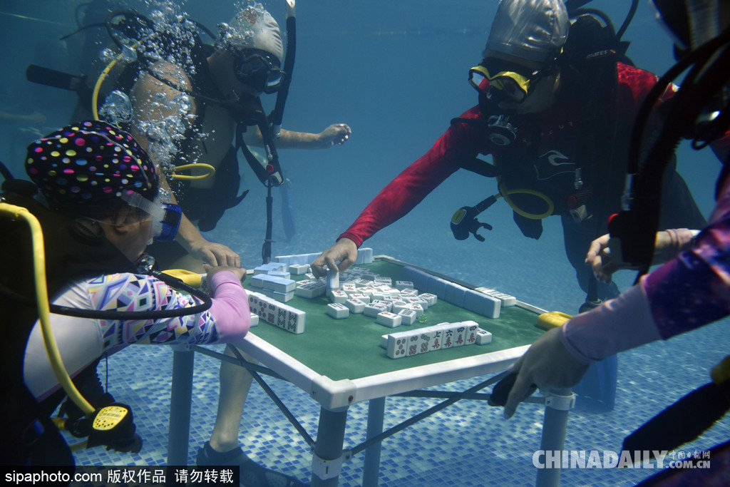 拼的就是創(chuàng)意 盤點(diǎn)水下世界趣聞不斷