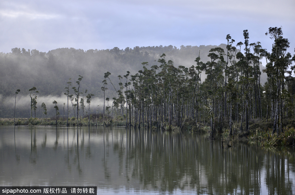 世界自然遺產(chǎn)“綠寶石之地”——新西蘭峽灣國(guó)家公園