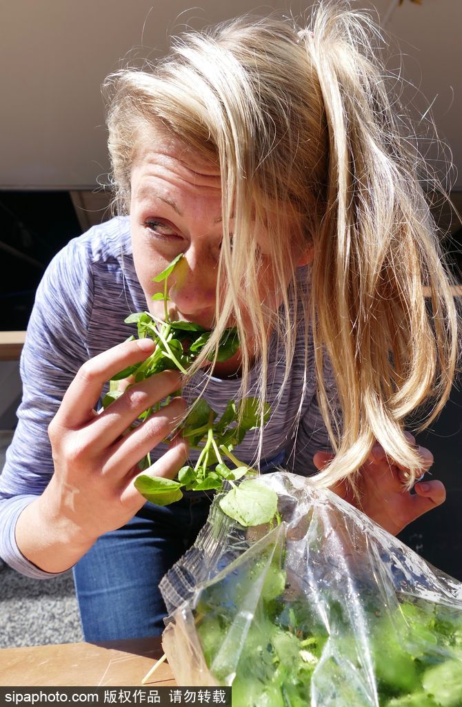舌尖上的美食？英國(guó)吃豆瓣菜大賽眾選手大快朵頤瘋狂塞菜