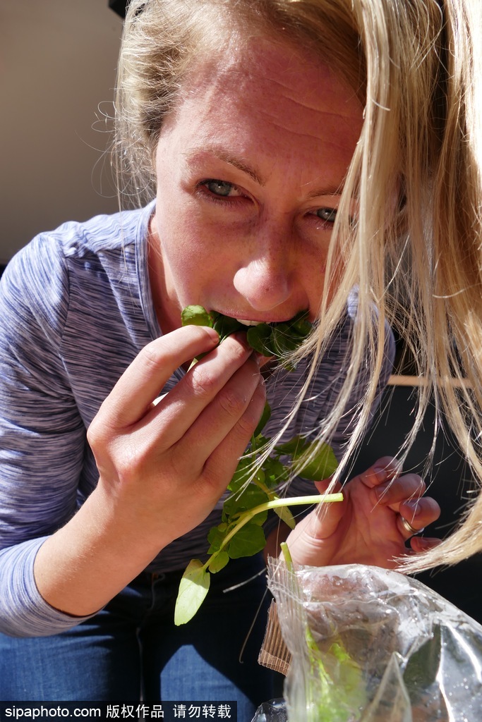 舌尖上的美食？英國吃豆瓣菜大賽眾選手大快朵頤瘋狂塞菜