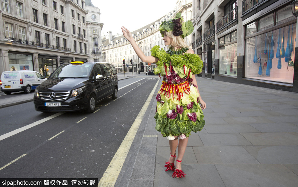 時(shí)尚bug沖擊！ 英國模特展示沙拉材料制成服裝