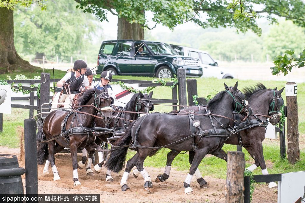 英國霍普頓四輪馬車賽激烈上演 菲利普親王坐車中悠閑觀賽