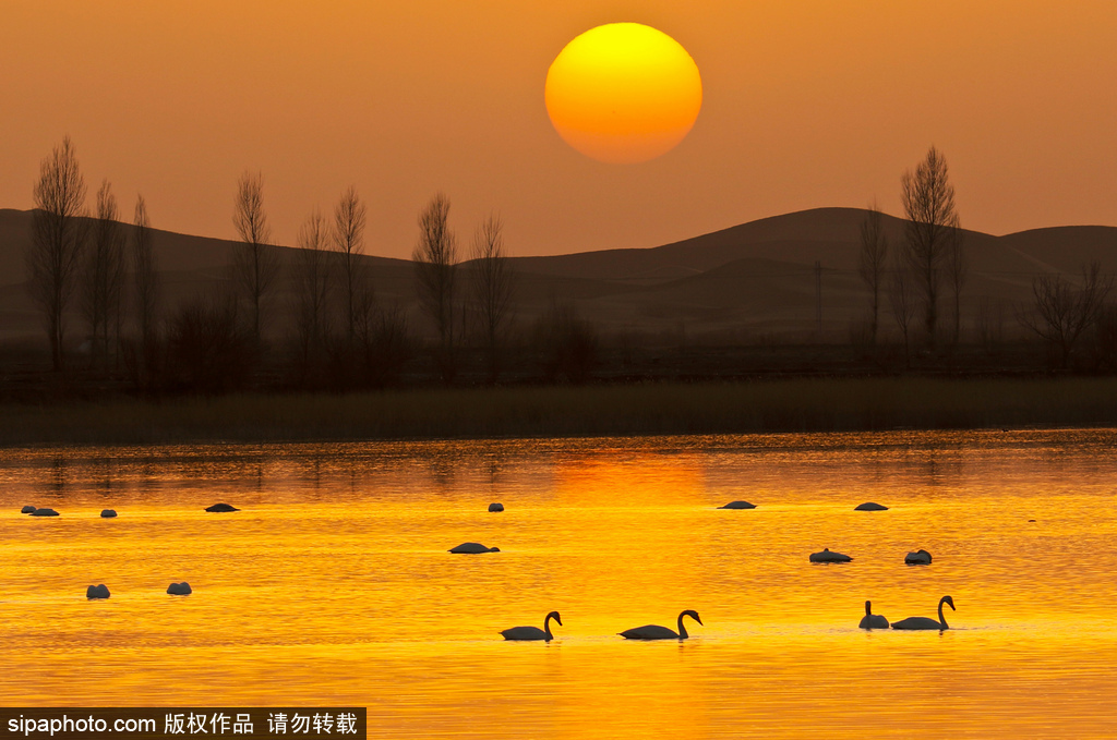 世界環(huán)境日 盤點(diǎn)國(guó)內(nèi)絕美濕地風(fēng)光