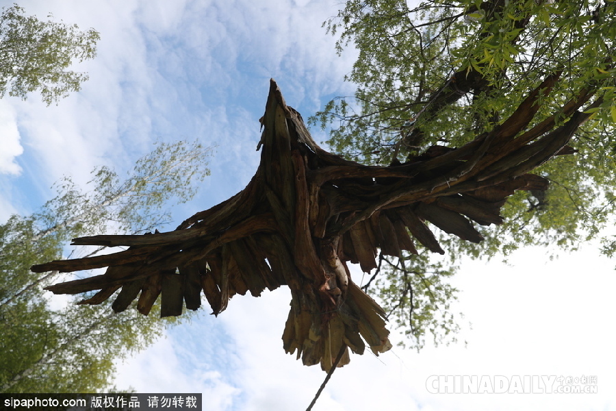 俄羅斯莫斯科舉行首屆根雕藝術(shù)節(jié) 形態(tài)各異