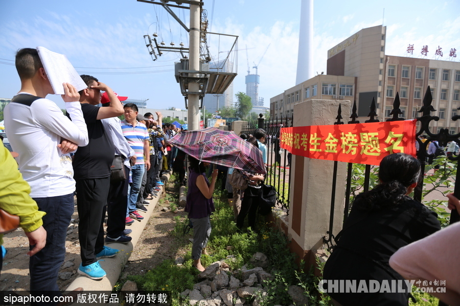 可憐天下父母心 沈陽(yáng)考場(chǎng)外家長(zhǎng)頂烈日踩廢棄電線桿翹首以盼