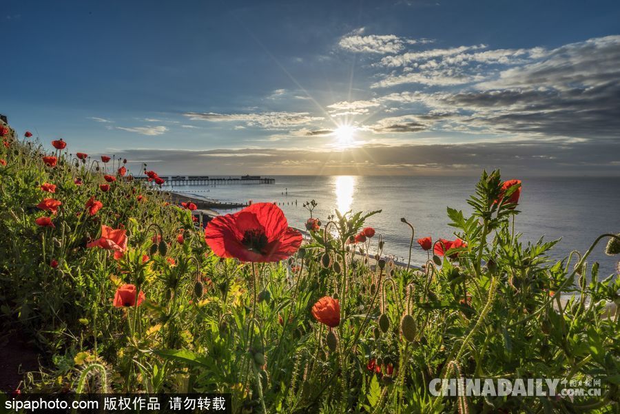 美到心坎里 英國(guó)索思沃爾德海邊風(fēng)光