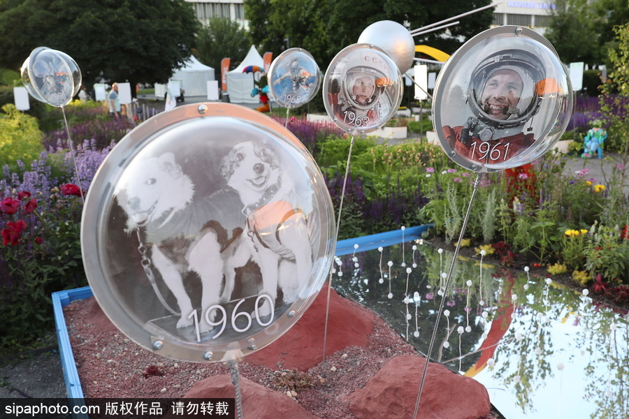 莫斯科舉辦國際花展節(jié) 精美花雕引民眾駐足