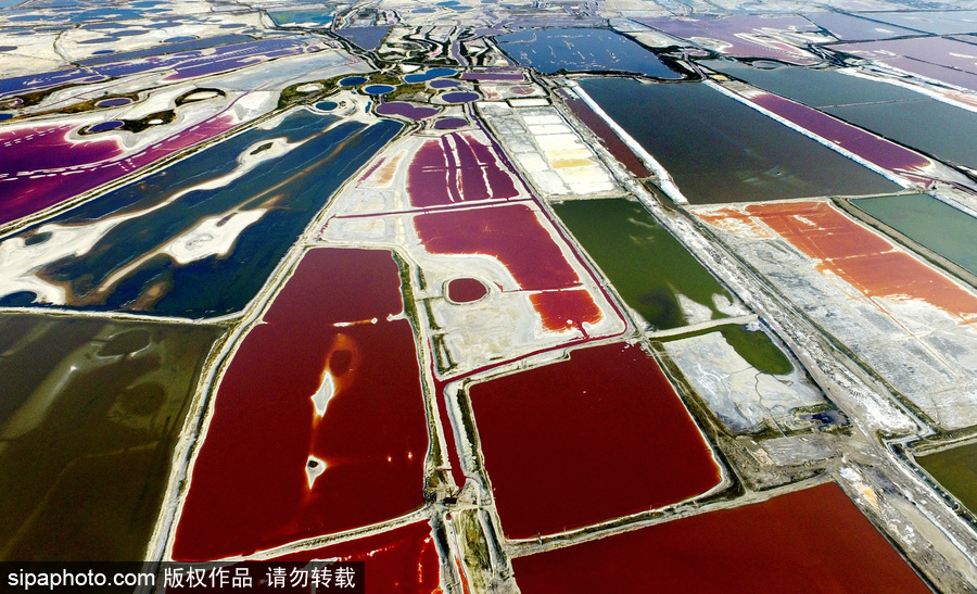 山西運(yùn)城：持續(xù)高溫來襲 千年鹽池變身美麗七彩湖