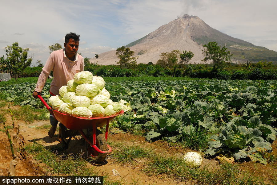 心態(tài)好！錫納朋火山熔巖量持續(xù)增加 居民淡然生活