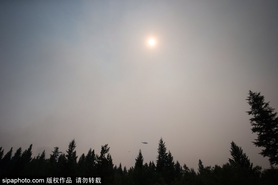 加拿大卑詩省山火蔓延 近7000人被疏散全省進入緊急狀態(tài)