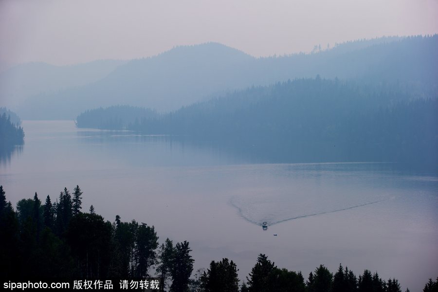 加拿大卑詩(shī)省山火蔓延 近7000人被疏散全省進(jìn)入緊急狀態(tài)