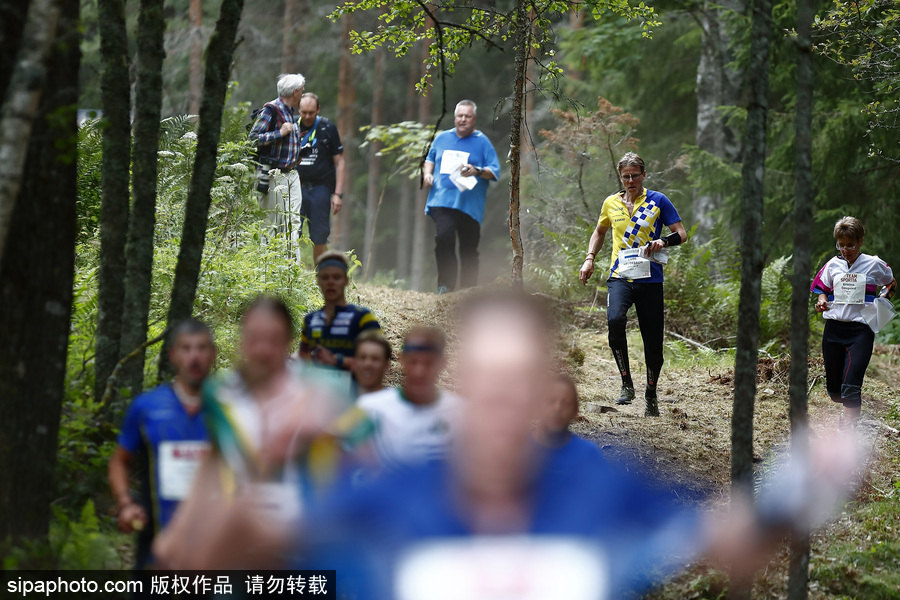 瑞典五日定向越野賽精彩開幕 男女老少齊上陣挑戰(zhàn)耐力極限