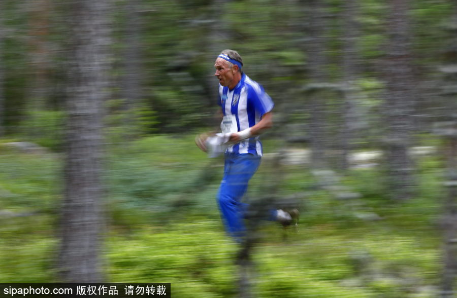 瑞典五日定向越野賽精彩開(kāi)幕 男女老少齊上陣挑戰(zhàn)耐力極限