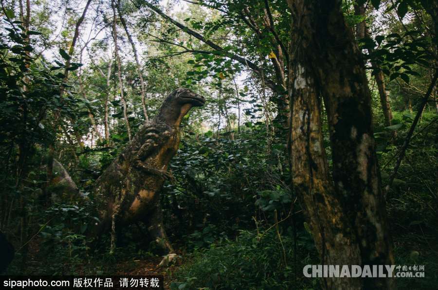 馬來西亞廢棄主題公園 似現(xiàn)實(shí)版侏羅紀(jì)公園