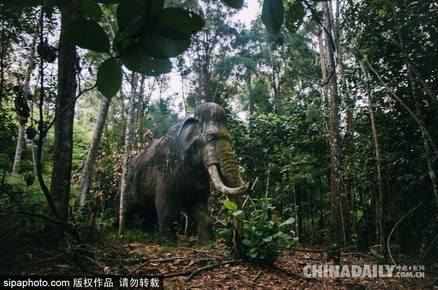 馬來(lái)西亞廢棄主題公園 似現(xiàn)實(shí)版侏羅紀(jì)公園